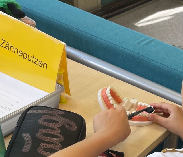 Kind putzt mit Zahnbürste und Modell Zahnprothese, Zahnpflege-Station mit Schild „Zähneputzen“.