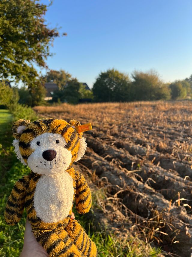 Auf zum Kartoffelfeld